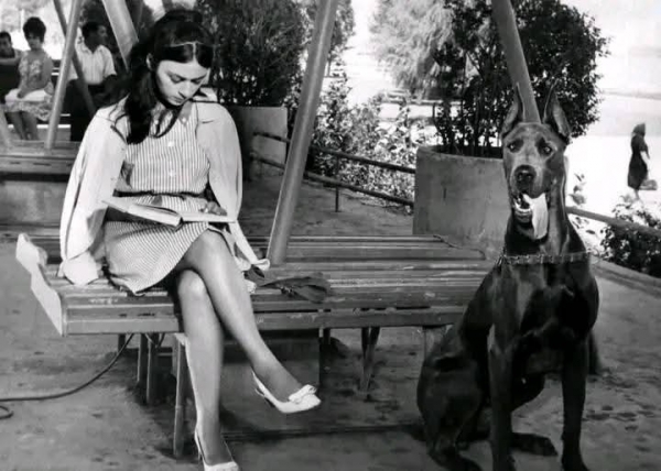 6923f247a32bd202511255103