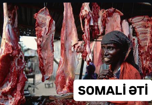 69479bd7b9c75202512250351