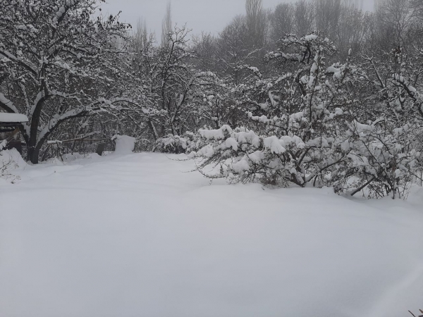 69579930eb605202601260848